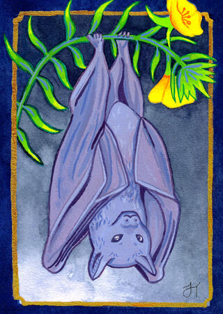 Hanging Bat